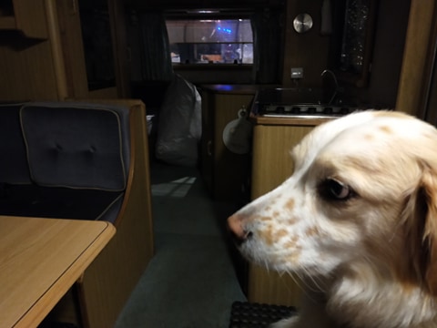 Zeus in the Motorhome - Touring Cook - A Chef On Tour