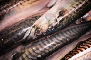 Read more about the article Pan-fried Mackerel Fillet