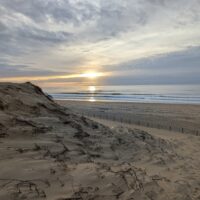 Cap Ferret sand dunes