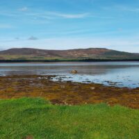 NC500: Seals at Loch Fleet