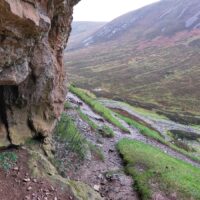 NC500: Bone Caves