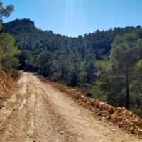 How do I keep finding such lovely mountain roads? Another unmade road through the mountains of Spain. I did drive on proper roads occasionally. Honest.