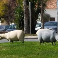 Sheep Statues on a roundabout in Castro Verde, Portugal