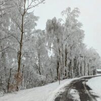 Roads into Czech