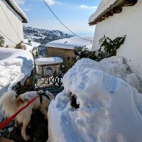 Makrinista, Portaria, Greece