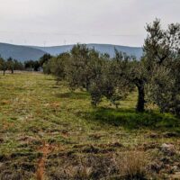 Journey to Nafplio, Greece