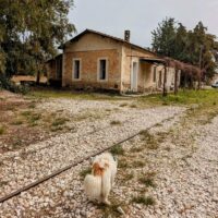 The old train station of Miloi, Greece