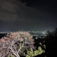Mystras, Greece