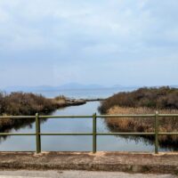 Journey to Moustos Wetlands, Greece