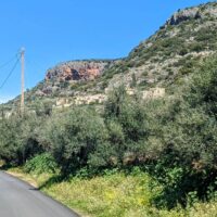 Journey to Kalamata, Greece