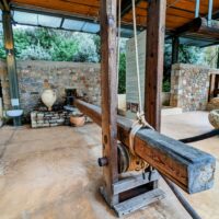 Museum of the Olive, Sparti, Greece