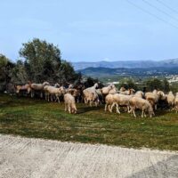 Nafplio, Hilltop Stopover, Greece