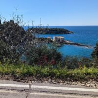 Journey to Kalamata, Greece