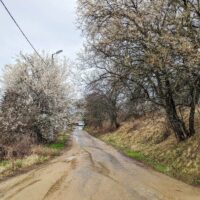 Driving through Bulgaria 27th March
